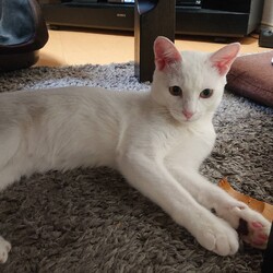 「東西南北シリーズ」サムネイル2