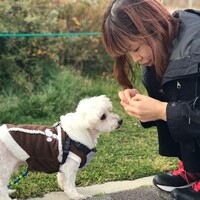 ふぁふぁ