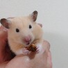 まりこデラックス