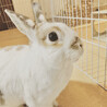 Marble&Tomoさん