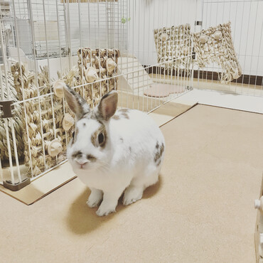 の写真