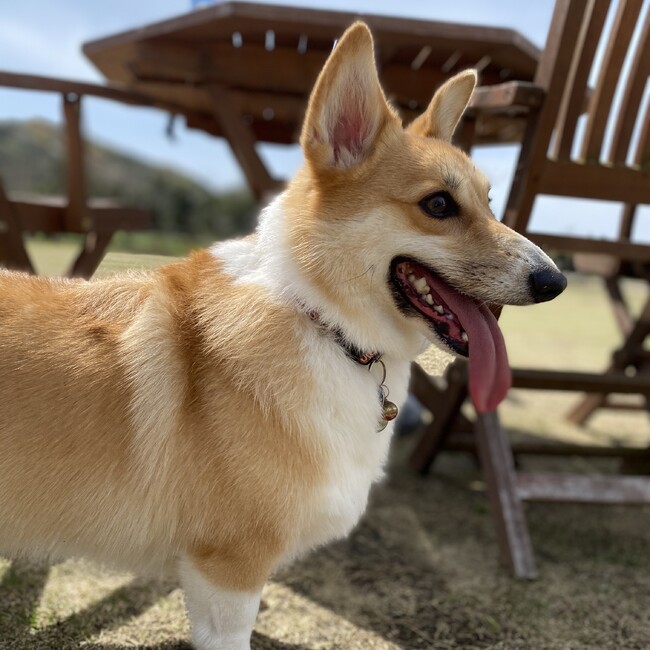 skm7のカバー写真