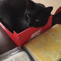 ラムザ