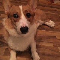 タビ