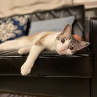 宗一郎