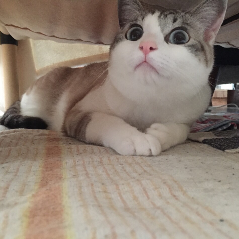 宗一郎のカバー写真