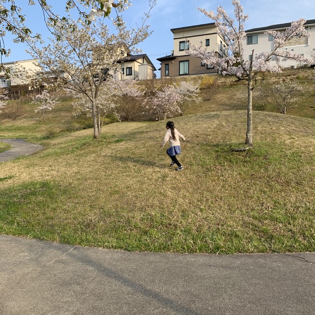 ことことこととのカバー写真