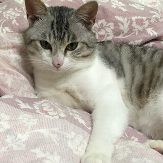 元気な男の子です