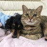 イヴ＆きなこ