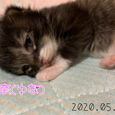 5.4に生まれた靴下柄の女の子♡