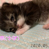 5.4に生まれた靴下柄の女の子♡