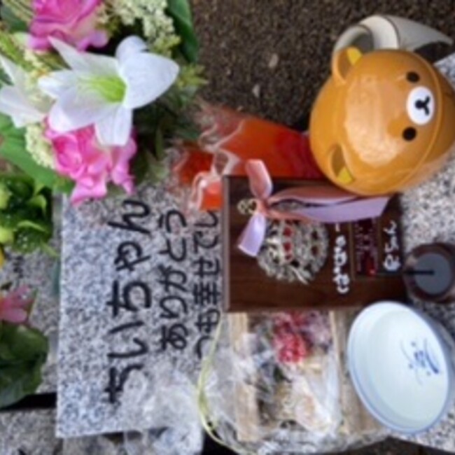 世界樹のカバー写真