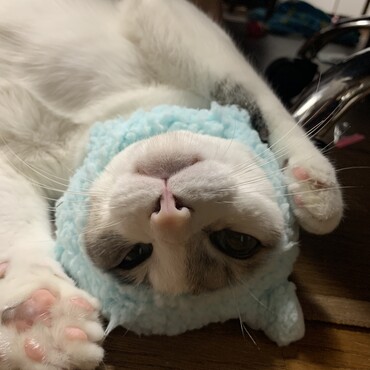 たまになら。
