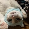 たまになら。