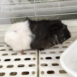 指定場所に取りに来ていただける方