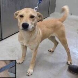 ありがとうございました。