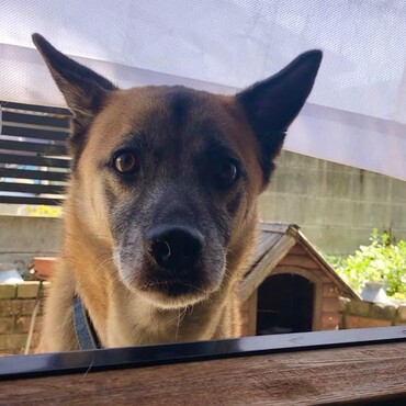 お庭から・・ただいまー！