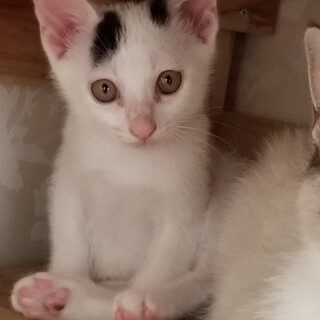 やんちゃなネオ君♡