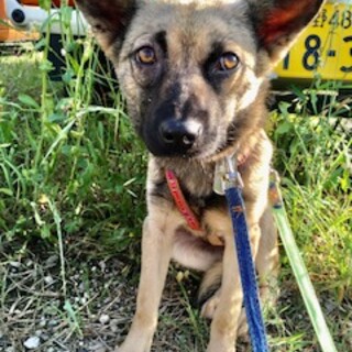 少し怖がりでマイペースな女の子「ルタ」