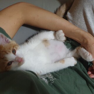 現在まで応募頂いている方の中で決定したいと思います