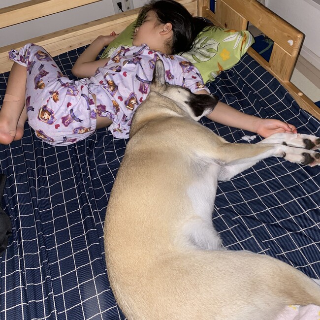 ううきのカバー写真