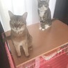 ありちゃん！