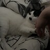 の写真