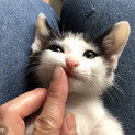 ヅラ男くん♡
