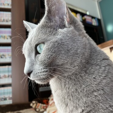 の写真