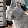 の写真