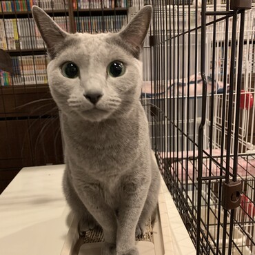 の写真