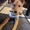 の写真