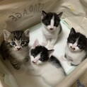 交渉中のため一旦停止します