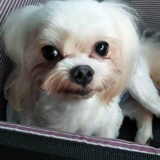 素敵なご縁を頂きました☺️