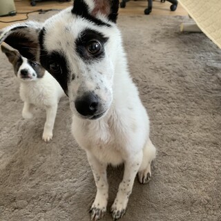 生後6ヶ月の男の子です