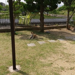 「 目が治りました❗️」サムネイル2