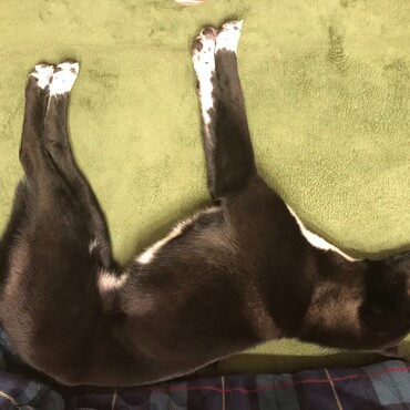の写真