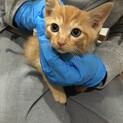 優しい家族ができました！ありがとうございます。