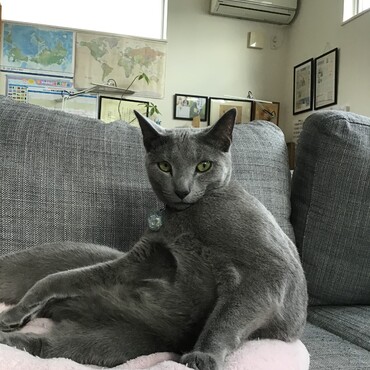の写真