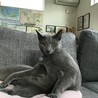 の写真
