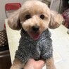 みおみお45