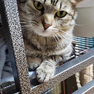 恥ずかしがり屋、温厚なリグ君☆