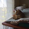 夏の好きな場所①