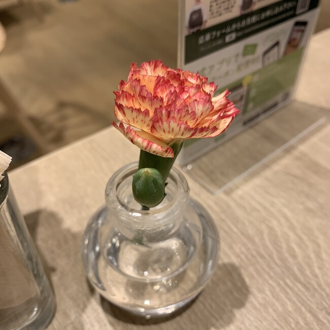 ♡みーちゃん♡のカバー写真