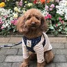 Ｎｉｃｋさん