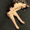 ささ283