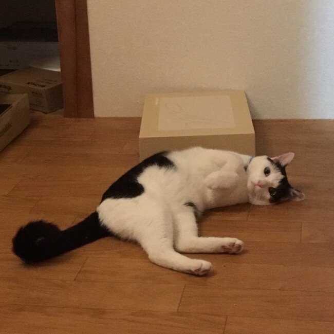 ささ283のカバー写真