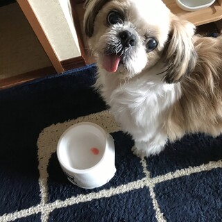 愛嬌たっぷりのソラくん★