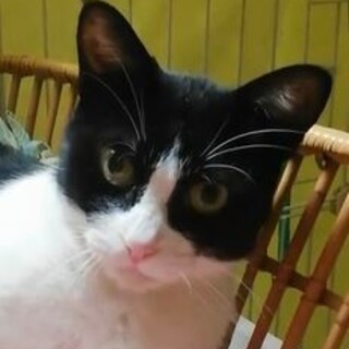 ブラッシング大好き☆ゆいちゃん☆