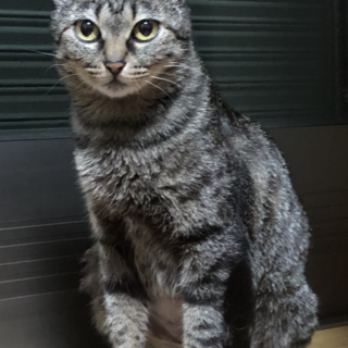 ありがとうございました★可愛らしいほのかちゃん